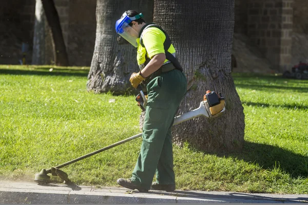 Trabajador cortando hierba — Foto de Stock
