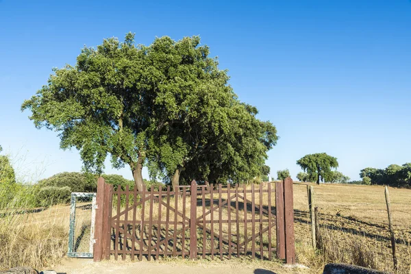 Bewachte Einfahrt — Stockfoto