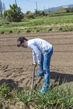 Genç çocuk soğan toplama