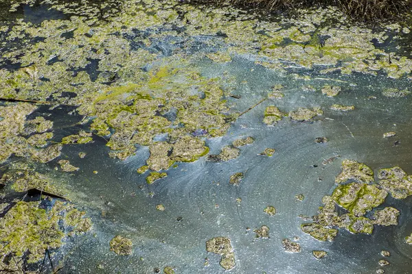 Забруднення води — стокове фото