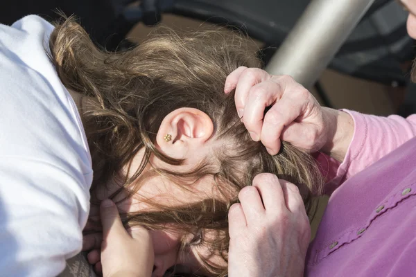 Anne kızı, baş biti arıyorsunuz