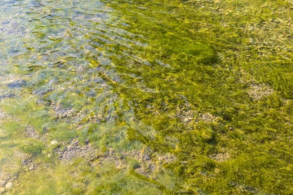 Fluss mit Felsen als Hintergrund — Stockfoto