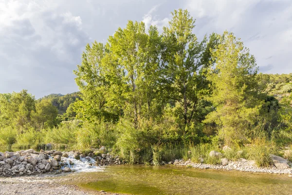 River in Spain — Stock Photo, Image