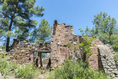 Terk Edilmiş Eski Ev