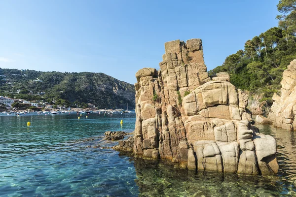 Aiguablava beach in Costa Brava, Catalonia, Spain — Stock Photo, Image