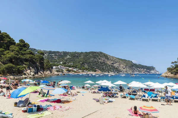 Praia de Aiguablava em Costa Brava, Catalunha, Espanha — Fotografia de Stock