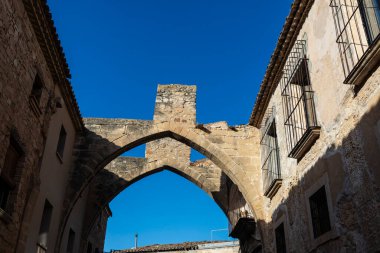 Abbey or Monastery of Santa Maria de Vallbona de les Monges, Tarragona, Catalonia, Spain