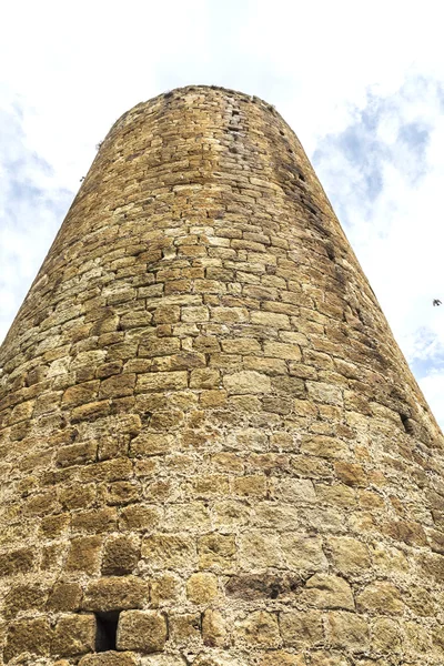 Πύργος του κάστρου — Φωτογραφία Αρχείου