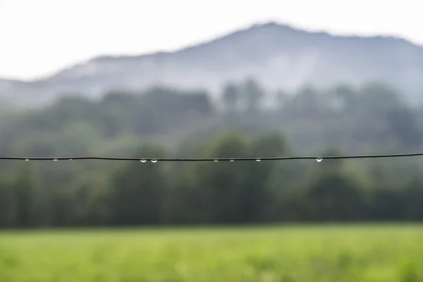 Gotas de chuva na montanha — Fotografia de Stock