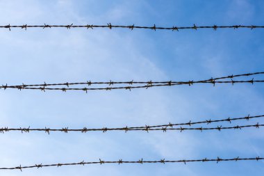 Dikenli teller gökyüzüne karşı