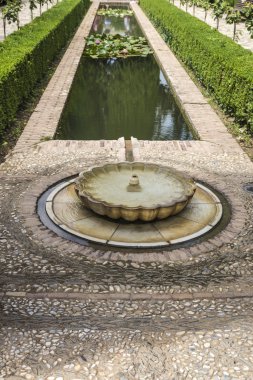 Generalife bahçeleri, Alhambra, Granada, İspanya