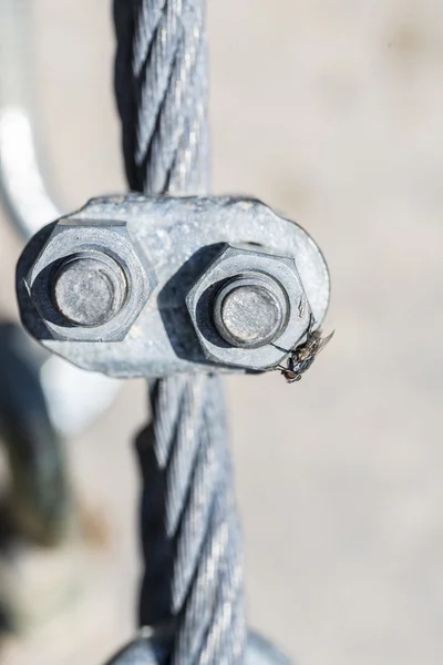 Tornillos de acero inoxidable y una mosca — Foto de Stock