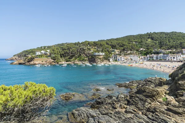 Plage de Sa Riera sur la Costa Brava, Catalogne, Espagne — Photo