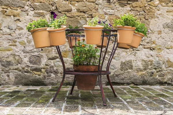 Flower pots hung a table — Stock Photo, Image