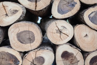 bir sürü ahşap günlüğü