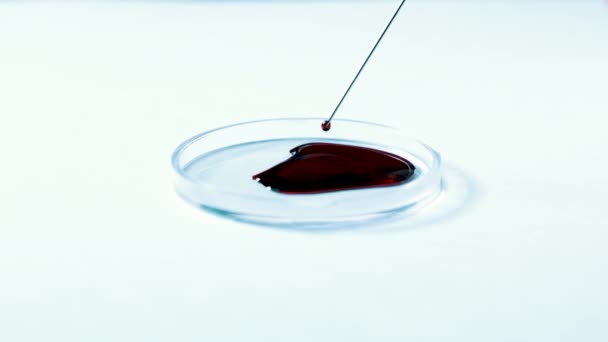 Agulha de seringa com gota de sangue. Isolado sobre branco — Vídeo de Stock