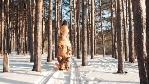 Dinosaurio Tirex camina por el bosque en invierno en un día soleado — Vídeo de stock