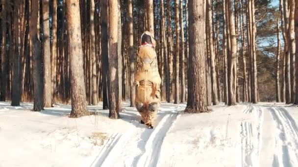 Ο δεινόσαυρος Τίρεξ διασχίζει το δάσος το χειμώνα μια ηλιόλουστη μέρα. — Αρχείο Βίντεο