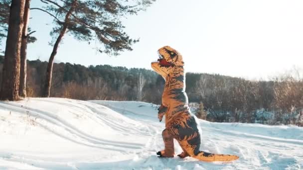 Ο δεινόσαυρος Τίρεξ σκαρφαλώνει σ 'ένα βουνό το χειμώνα μια ηλιόλουστη μέρα. — Αρχείο Βίντεο