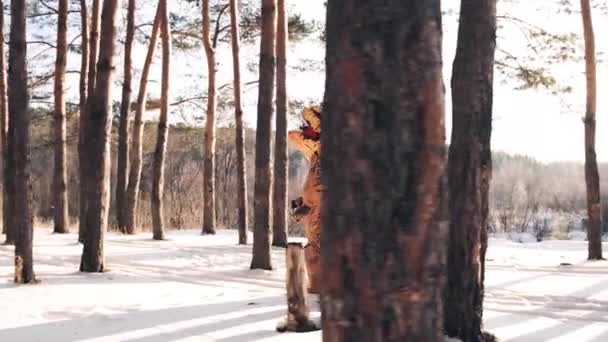 Dinosaurier Tirex läuft im Winter an einem sonnigen Tag durch den Wald — Stockvideo