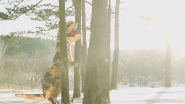 Dinosaurus Tirex běží v zimě lesem za slunečného dne — Stock video