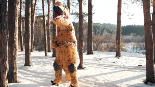 Gekke dinosaurus dansend in het bos. Een ongelofelijk gezicht. — Stockvideo
