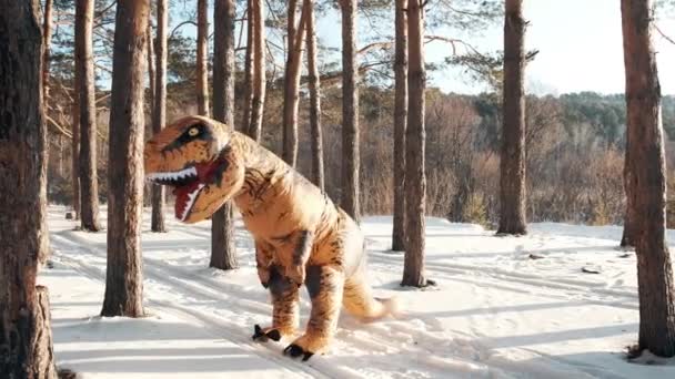 겨울에 숲 속의 눈 위에서 춤을 추는 공룡들. — 비디오