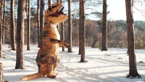 Il dinosauro ruota intorno a se stesso nella foresta in inverno — Video Stock