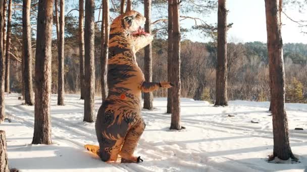 Dinosauři se v zimě točí kolem sebe v lese — Stock video