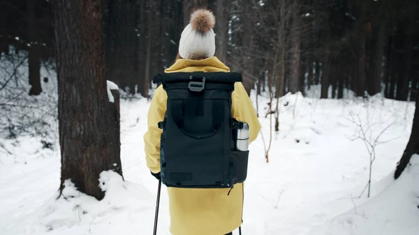 Meisje met een witte hoed in het bos met rugzak en wandelstokken in de winter. Achteraanzicht — Stockfoto