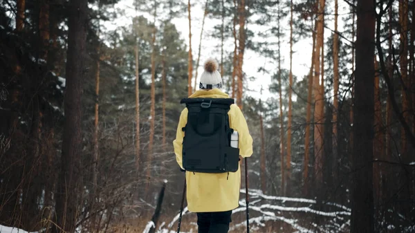 Девушка в белой шляпе в лесу с рюкзаком и пешеходными палками зимой. Вид сзади — стоковое фото