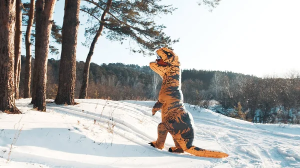 Dinosaurus Tirex beklimt een berg in de winter op een zonnige dag — Stockfoto
