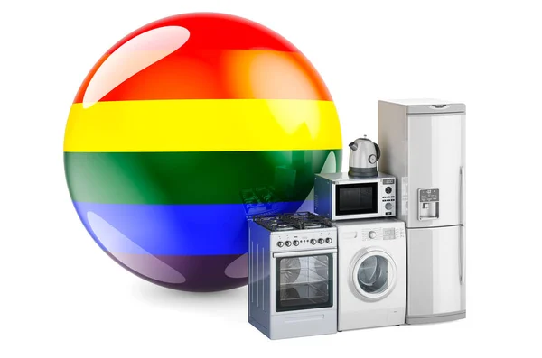 Cucina Elettrodomestici Con Bandiera Arcobaleno Lgbt Rendering Isolato Sfondo Bianco — Foto Stock