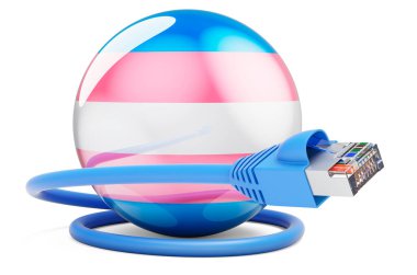 Network lan cable with Transgender flag. 3D rendering isolated on white background