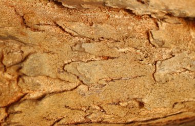 doku arka plan deseni eski kahverengi