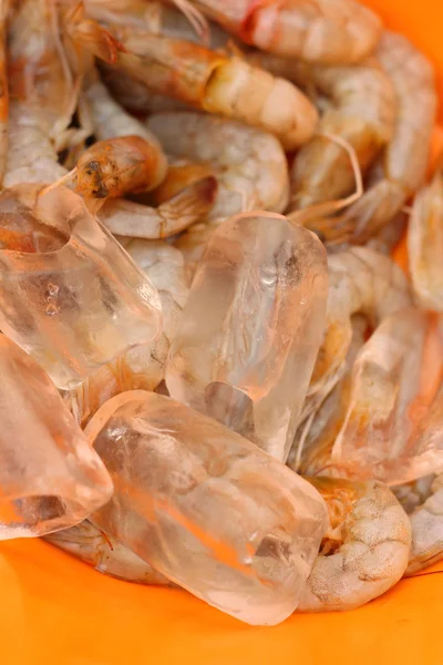 Shrimp ice on orange background. — Stock Photo, Image