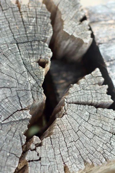 Buracos em fundo de madeira — Fotografia de Stock