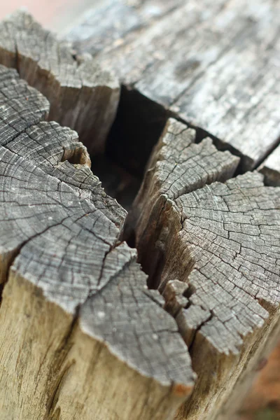 Buracos em fundo de madeira — Fotografia de Stock
