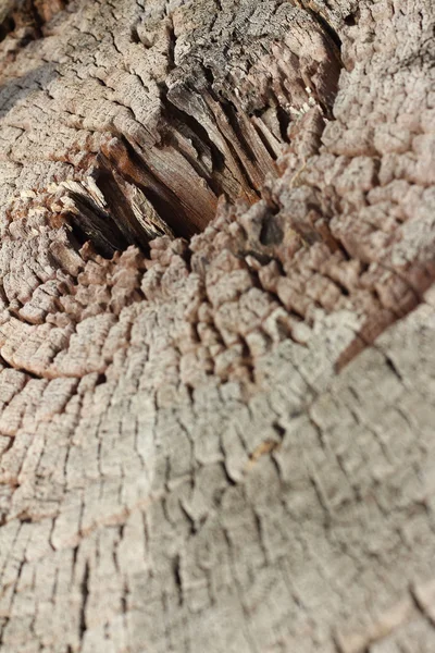 Buracos em fundo de madeira no parque — Fotografia de Stock