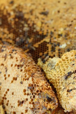 Muz Yaprak piyasada petek