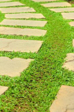 Parkta yeşil çim yolu