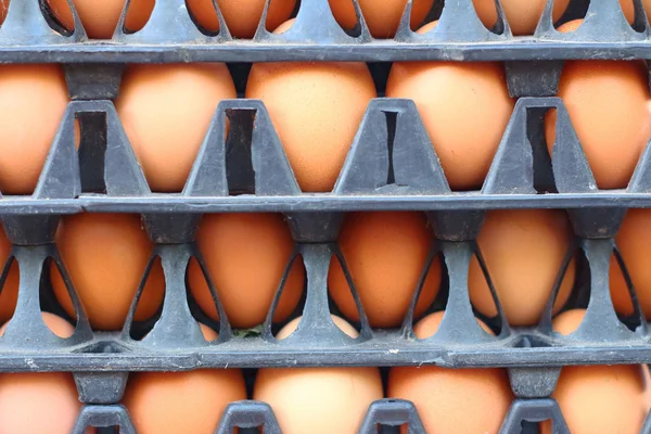 Eier auf einem Tablett auf dem Markt — Stockfoto