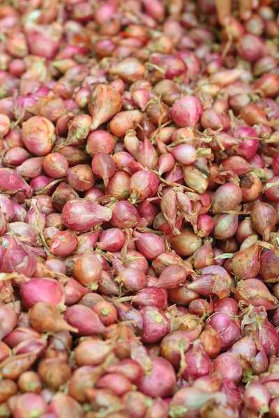 Szalotka - Azja czerwony cebuli na rynku — Zdjęcie stockowe