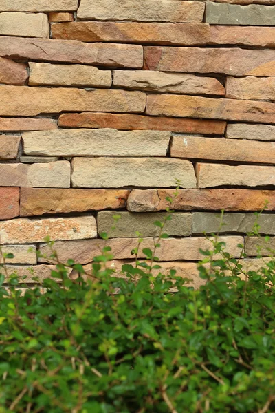 装飾的な石壁の表面や背景のパターン — ストック写真