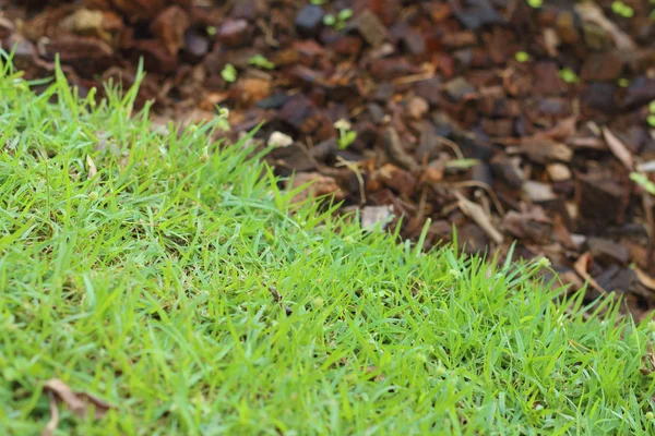 Background of dry soil in the nature — Stock Photo, Image