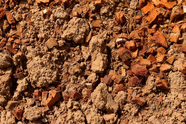 Background of dry soil in the nature — Stock Photo, Image