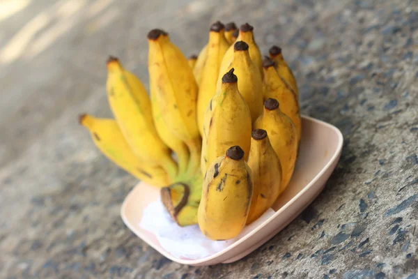 Bananas place on a pink plate on cement — Stock Photo, Image