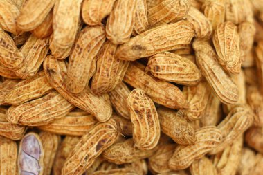 Piyasada tepsisinde haşlanmış fıstık