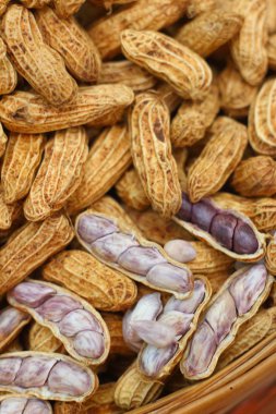 Piyasada tepsisinde haşlanmış fıstık