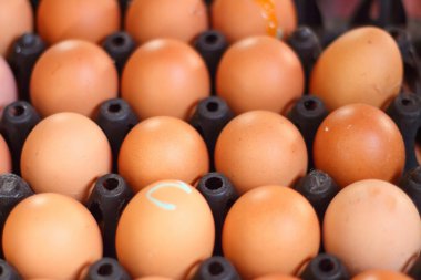 Piyasada bir tepsi üzerinde yumurta